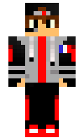 penses minecraft skin