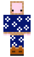 GoMaster1411 minecraft skin