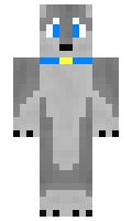 Freed0m minecraft skin