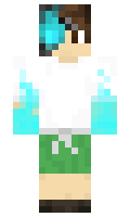 1c80d3e95aea24 minecraft skin