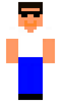 pokst minecraft skin