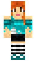 windinc minecraft skin