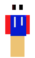 SonicGamer minecraft skin