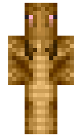 PuffyPigeon minecraft skin