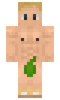 Vacys minecraft skin