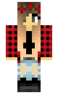 aco minecraft skin