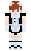 Leirbag minecraft skin