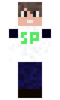 Swshero minecraft skin