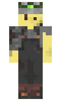 1cd12a23005bfb minecraft skin