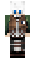 BIP minecraft skin