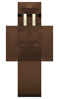 BIN0480 minecraft skin