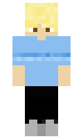 vitic511 minecraft skin