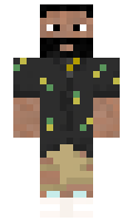 1cf934425fd3a8 minecraft skin