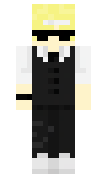 BiasedArtist minecraft skin