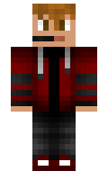 dadapoky minecraft skin