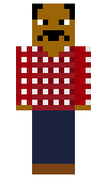 gandu minecraft skin