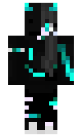 1d3fcbf5d4e498 minecraft skin