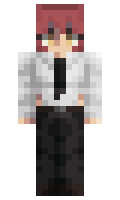 1d42995debd527 minecraft skin