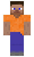 Rytcht minecraft skin