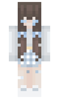 1dc895c7a8f1d9 minecraft skin