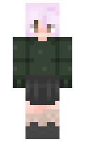 1dcadcef4ecf29 minecraft skin