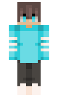 1e00e710963fef minecraft skin