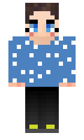 1e1a96a320c33f minecraft skin