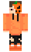 1e260e305e8d62 minecraft skin