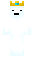 12456789 minecraft skin