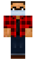 nevillepark minecraft skin