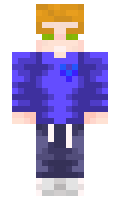 1e8e1122bafc20 minecraft skin