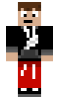 bird95 minecraft skin