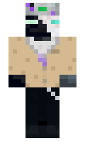 1f1f13a2ba3b56 minecraft skin