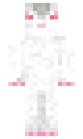 Dawna minecraft skin