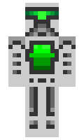 Muellrohr minecraft skin