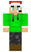 1f46bec83c312a minecraft skin