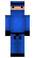 iride minecraft skin