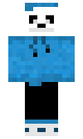 saneden minecraft skin