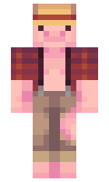 1fa92e078a3a2d minecraft skin