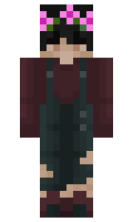 Acedlife minecraft skin