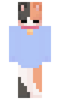 1fc61e1a5c2706 minecraft skin