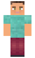 1fe2e3d05da264 minecraft skin