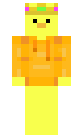 Ducktectivee minecraft skin