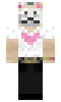 NorthStarrs minecraft skin