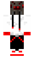 whysk minecraft skin