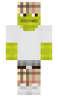 awnrt minecraft skin