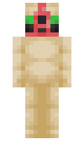 SunCargo minecraft skin