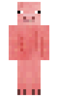 Terrom minecraft skin