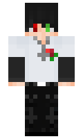 DawidToKoks minecraft skin