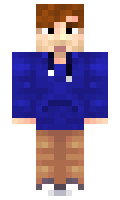 pancer minecraft skin